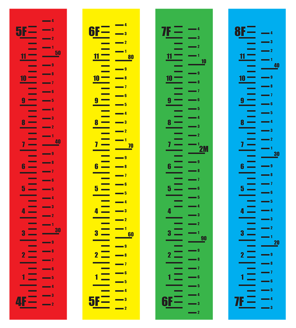 Standard Scales- High Jump